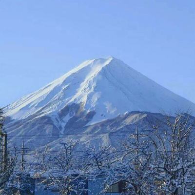 滑雪大冒险下载普通版