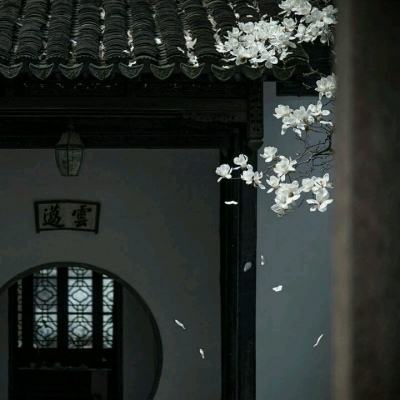天机镜游戏(暂未上线)v1.0 安卓版
